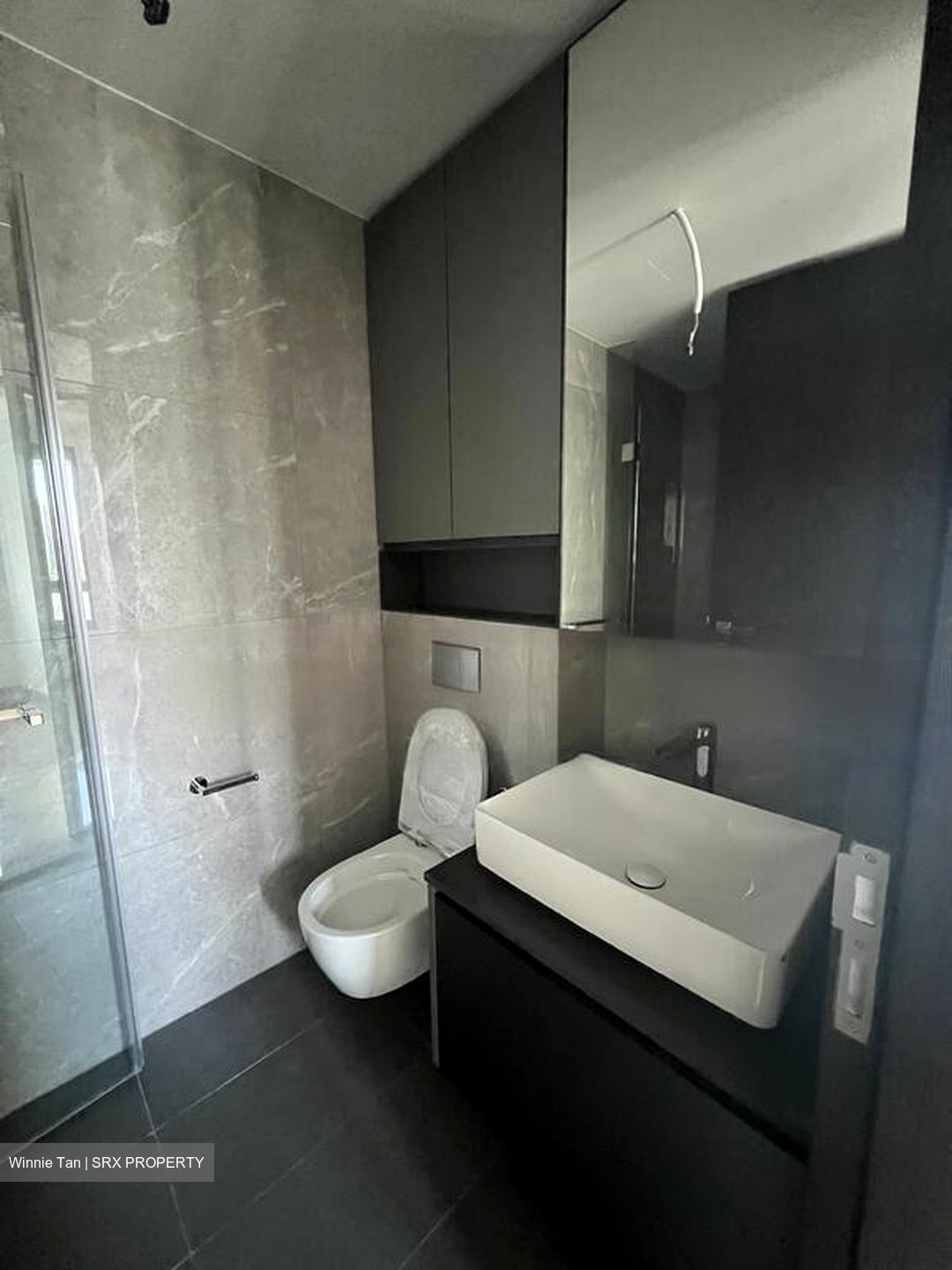 Irwell Hill Residences (D9), Apartment #575740421